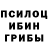Галлюциногенные грибы Psilocybe tylkin sergey