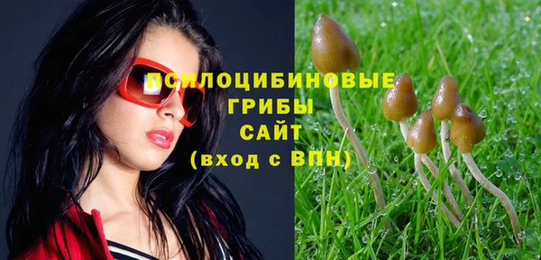 Альфа ПВП Лиски