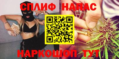 молекула духа Кингисепп