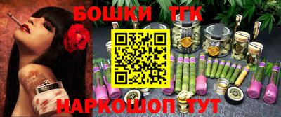 молекула духа Кингисепп