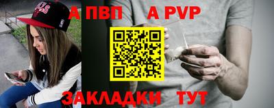 молекула духа Кингисепп