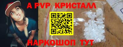 молекула духа Кингисепп