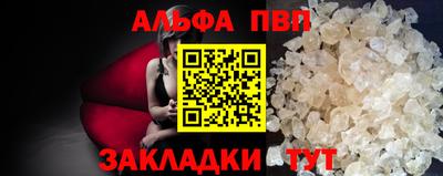 молекула духа Кингисепп