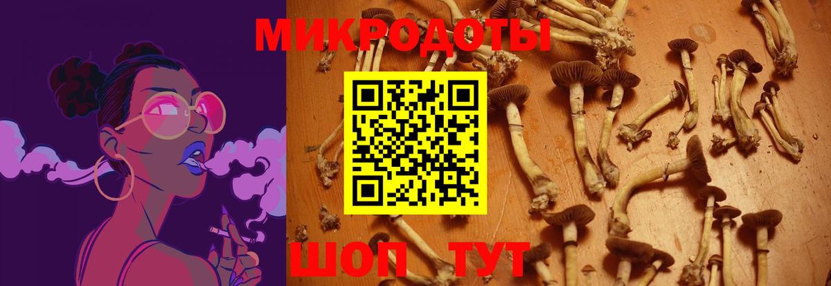 как найти   Псилоцибиновые грибы Psilocybine cubensis  Вход с VPN  Самара 